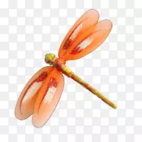 橙色S.A.-温柔的剪影-空若网 橙色S.A.-温柔的剪影-空若网