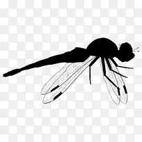 剪贴画昆虫产品设计线艺术-空若网 剪贴画昆虫产品设计线艺术-空若网