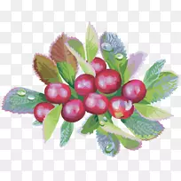 Խ��ʳƷ-����-������