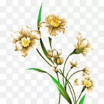 ���ˮ�ʻ������ܻ滭ͼ��ˮ�ʻ�-������