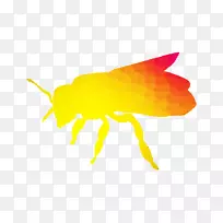 �۷��-������