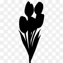 开花植物剪贴画心叶-空若网 开花植物剪贴画心叶-空若网