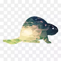 乌龟塑料-空若网 乌龟塑料-空若网