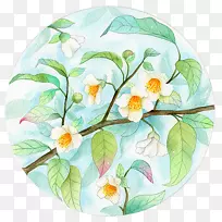 ˮ�ʻ�����ˮī����ˮ�ʻ�-������