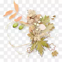 pngͼƬͼ���＾��Ʋ���-�＾-������