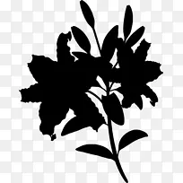 剪裁艺术剪叶植物茎开花植物-空若网 剪裁艺术剪叶植物茎开花植物-空若网