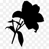 剪裁艺术剪叶植物茎开花植物-空若网 剪裁艺术剪叶植物茎开花植物-空若网