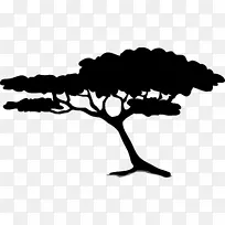 相思剪贴画树刺槐png图片-空若网 相思剪贴画树刺槐png图片-空若网