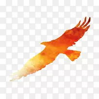 ��ຣ�����ﶯ������-������