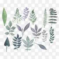 水彩画:花卉水彩画-空若网 水彩画:花卉水彩画-空若网