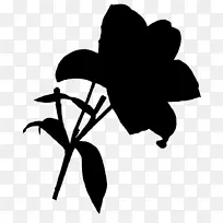 剪裁艺术剪叶植物茎开花植物-空若网 剪裁艺术剪叶植物茎开花植物-空若网