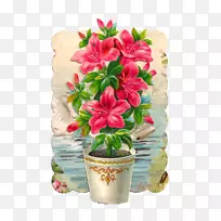 花盆植物芙蓉剪贴画花盆-空若网 花盆植物芙蓉剪贴画花盆-空若网