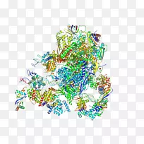 字体线-fmf水彩画-空若网 字体线-fmf水彩画-空若网
