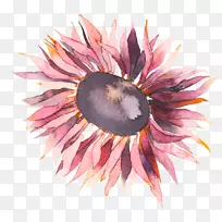 水彩画摄影.手绘-空若网 水彩画摄影.手绘-空若网