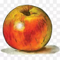 Ë®²Ê»£º»¨»ÜË®²Ê»ÊÖ»æ-¿ÕÈôÍø Ë®²Ê»£º»¨»ÜË®²Ê»ÊÖ»æ-¿ÕÈôÍø