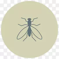 飞行计算机图标昆虫图形圆-苍蝇-空若网 飞行计算机图标昆虫图形圆-苍蝇-空若网