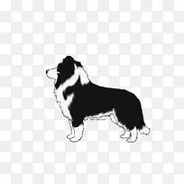 边境牧羊犬繁殖粗糙牧羊犬/m/02csf-rng框架-空若网 边境牧羊犬繁殖粗糙牧羊犬/m/02csf-rng框架-空若网