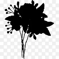 开花植物剪影字体叶-空若网 开花植物剪影字体叶-空若网