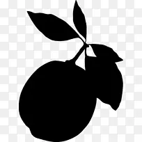 剪贴画水果线轮廓开花植物-空若网 剪贴画水果线轮廓开花植物-空若网