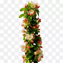 花卉设计花束图片-空若网 花卉设计花束图片-空若网