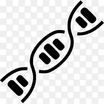 西安交通-利物浦大学基因材料科学计算机图标-遗传图标-空若网 西安交通-利物浦大学基因材料科学计算机图标-遗传图标-空若网