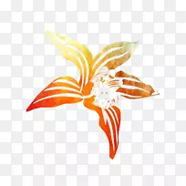 花瓣授粉器,开花植物,无脊椎动物,桔子。-空若网 花瓣授粉器,开花植物,无脊椎动物,桔子。-空若网