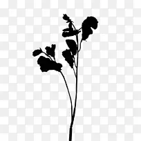 开花植物茎叶轮廓-空若网 开花植物茎叶轮廓-空若网