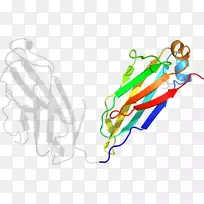 ��������ͼ�ߵ��-ajy-������