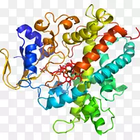 剪贴画有机体线身首饰-awma插图-空若网 剪贴画有机体线身首饰-awma插图-空若网