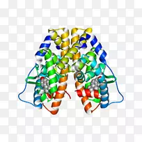 剪贴画线产品车身首饰.轴带-空若网 剪贴画线产品车身首饰.轴带-空若网