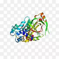 剪贴画线产品车身首饰.轴带-空若网 剪贴画线产品车身首饰.轴带-空若网