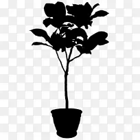 花盆植物载体植物叶-空若网 花盆植物载体植物叶-空若网