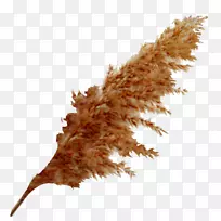 ¼ôÌù»pngͼƬÉãÓ°²Ý»¿ò.ȱÏݺá·ù-¿ÕÈôÍø ¼ôÌù»pngͼƬÉãÓ°²Ý»¿ò.ȱÏݺá·ù-¿ÕÈôÍø