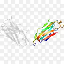 线点产品设计剪贴画.alemarah 1框架-空若网 线点产品设计剪贴画.alemarah 1框架-空若网