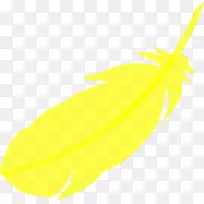 日用品设计-adobe Photoshop系列-ayurvedic海报-空若网 日用品设计-adobe Photoshop系列-ayurvedic海报-空若网