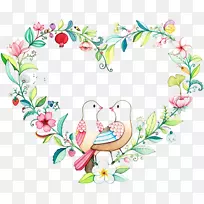 爱鸟鸽子和鸽子插图鹦鹉-准确的水彩-空若网 爱鸟鸽子和鸽子插图鹦鹉-准确的水彩-空若网