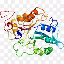 �������л�����������.����-������