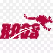 奥斯汀学院,康科迪亚大学,得克萨斯州大学,奥斯汀大学,哈丁大学-贝勒施莱尔大学-罗斯海报-空若网 奥斯汀学院,康科迪亚大学,得克萨斯州大学,奥斯汀大学,哈丁大学-贝勒施莱尔大学-罗斯海报-空若网