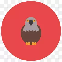 野猪png图片电脑图标说明adobe Photoshop猎鹰图标-空若网 野猪png图片电脑图标说明adobe Photoshop猎鹰图标-空若网