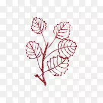 叶插图植物茎植物-空若网 叶插图植物茎植物-空若网