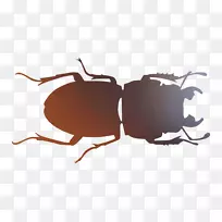 昆虫字体害虫膜-空若网 昆虫字体害虫膜-空若网