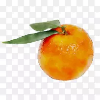 ��ʳʳƷ����-������