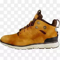 ͽ������ѥЬ��·-������