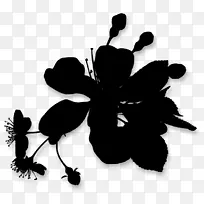 昆虫开花植物剪影叶-空若网 昆虫开花植物剪影叶-空若网