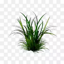 pngͼƬ����������ͼ�񣬵���ͼ�꣬�����ֽ-������