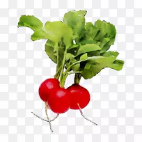 �ܲ�ʳƷOTCMKTS��Pred Green OTC�г�-������