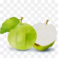 ����ʳƷ����ʷ��˹������������ʳʳƷ-������