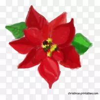 Ë®²Ê»£ºÏÊ»¨Ë®²Ê»pngͼƬʥµ®½ÚͼƬ-Ê¥µ®ÀÏÈË-¿ÕÈôÍø Ë®²Ê»£ºÏÊ»¨Ë®²Ê»pngͼƬʥµ®½ÚͼƬ-Ê¥µ®ÀÏÈË-¿ÕÈôÍø