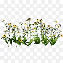 �л�ֲ�ﾥ����ֲ��-������