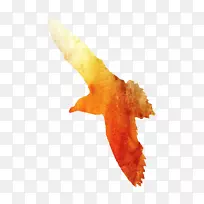 ��������ѧ����-������